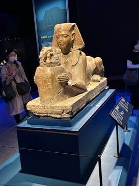 ACN ラムセス大王展 ファラオたちの黄金に投稿された画像（2025/11/6）