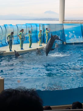 新江ノ島水族館に投稿された画像（2025/11/6）