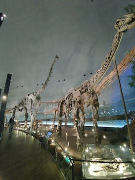 福井県立恐竜博物館に投稿された画像（2025/11/6）