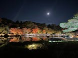 国営昭和記念公園 秋の夜散歩に投稿された画像（2025/11/6）