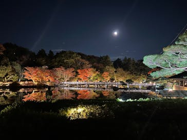 国営昭和記念公園 秋の夜散歩に投稿された画像（2025/11/6）