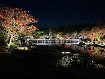 国営昭和記念公園 秋の夜散歩に投稿された画像（2025/11/6）