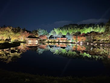 国営昭和記念公園 秋の夜散歩に投稿された画像（2025/11/6）