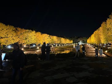 国営昭和記念公園 秋の夜散歩に投稿された画像（2025/11/6）