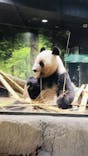 恩賜上野動物園に投稿された画像（2025/11/6）