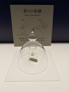 正倉院 THE SHOW ―感じる。いま、ここにある奇跡―　@上野の森美術館に投稿された画像（2025/11/6）