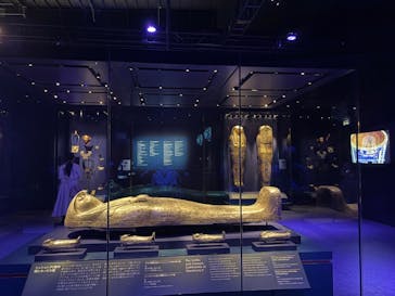 ACN ラムセス大王展 ファラオたちの黄金に投稿された画像（2025/11/6）
