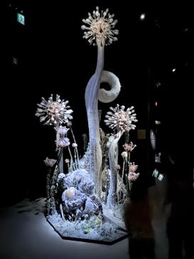 金曜ロードショーとジブリ展（静岡展）に投稿された画像（2025/11/6）