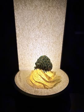 金曜ロードショーとジブリ展（静岡展）に投稿された画像（2025/11/6）