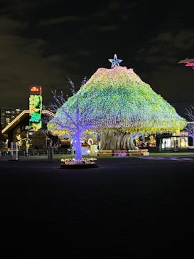 東京メガイルミに投稿された画像（2025/11/6）