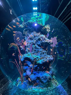 アソビュー！ポイントに投稿された画像（2025/11/6）