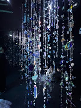 アソビュー！ポイントに投稿された画像（2025/11/6）