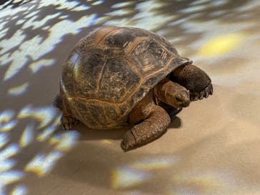 アソビュー！ポイントに投稿された画像（2025/11/6）