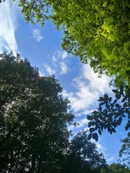 ひかりオーシャンズに投稿された画像（2025/11/6）