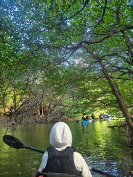 ひかりオーシャンズに投稿された画像（2025/11/6）