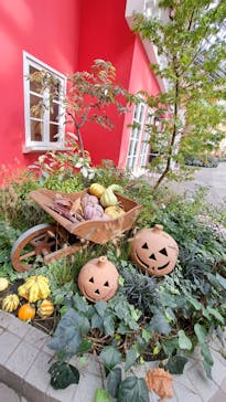 安城産業文化公園デンパークに投稿された画像（2025/11/6）