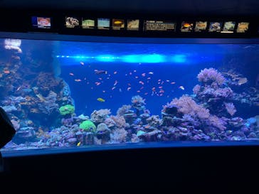 サンシャイン水族館に投稿された画像（2025/11/6）