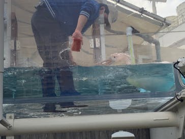 サンシャイン水族館に投稿された画像（2025/11/6）