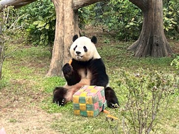 恩賜上野動物園に投稿された画像（2025/11/6）