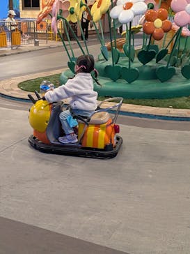 モビリティリゾートもてぎに投稿された画像（2025/11/6）