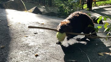 長崎バイオパークに投稿された画像（2025/11/6）