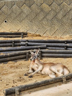 多摩動物公園に投稿された画像（2025/11/6）