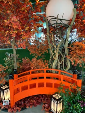 サンシャイン60展望台に投稿された画像（2025/11/6）