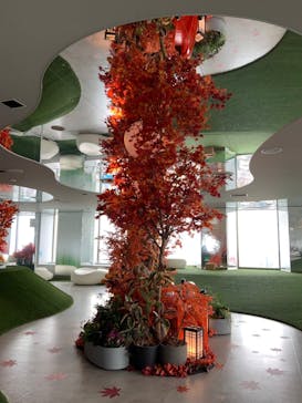 サンシャイン60展望台に投稿された画像（2025/11/6）