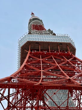 東京タワーに投稿された画像（2025/11/6）