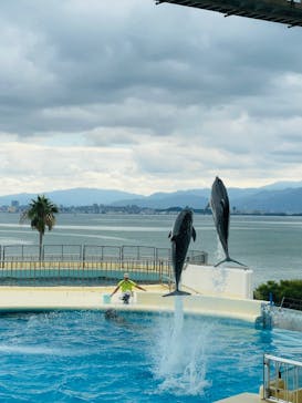 マリンワールド海の中道に投稿された画像（2025/11/6）