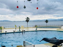 マリンワールド海の中道に投稿された画像（2025/11/6）