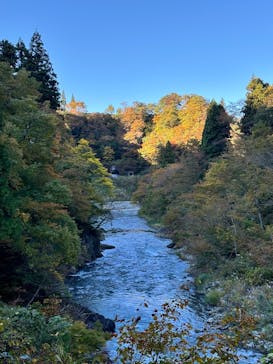 清津峡渓谷トンネルに投稿された画像（2025/11/6）