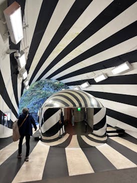 清津峡渓谷トンネルに投稿された画像（2025/11/6）