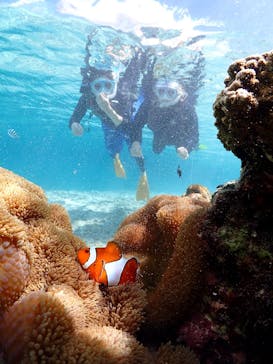 宮古島マリンショップSmileyに投稿された画像（2025/11/7）