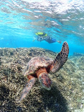 宮古島マリンショップSmileyに投稿された画像（2025/11/7）