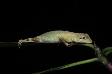 宮古島マリンショップSmileyに投稿された画像（2025/11/7）