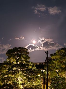 NAKED meets 二条城 2025 観月に投稿された画像（2025/11/7）