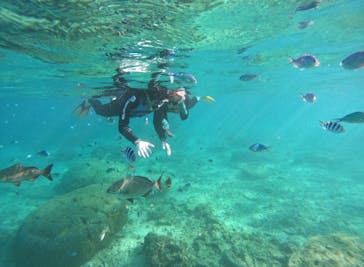 武藤潜水に投稿された画像（2025/11/7）