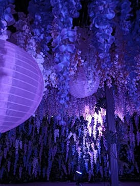 東京メガイルミに投稿された画像（2025/11/7）