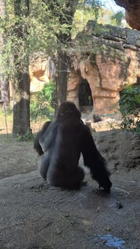 恩賜上野動物園に投稿された画像（2025/11/7）