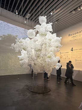 森美術館に投稿された画像（2025/11/7）