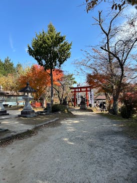 昇仙峡ロープウェイに投稿された画像（2025/11/7）