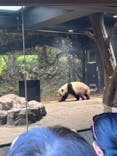 恩賜上野動物園に投稿された画像（2025/11/7）