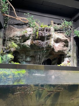 伊豆・三津シーパラダイスに投稿された画像（2025/11/7）