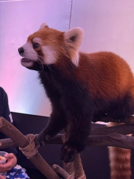 横浜・八景島シーパラダイスに投稿された画像（2025/11/7）