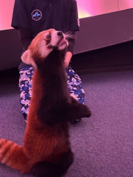 横浜・八景島シーパラダイスに投稿された画像（2025/11/7）