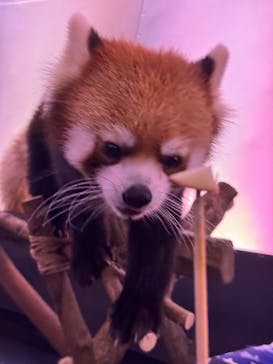 横浜・八景島シーパラダイスに投稿された画像（2025/11/7）