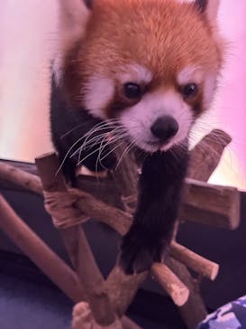 横浜・八景島シーパラダイスに投稿された画像（2025/11/7）