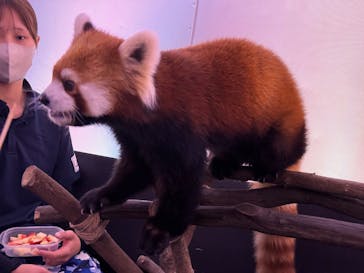 横浜・八景島シーパラダイスに投稿された画像（2025/11/7）