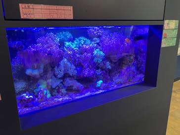 竹島水族館に投稿された画像（2025/11/7）